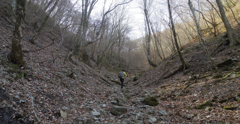 �J�����̓��炵����������΂��ēo���Ă����܂�