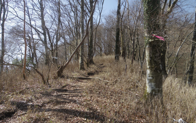 �E�̕��A�ԒގR�֌����Đi�݂܂�