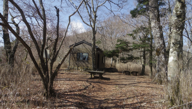 �Ԓޔ����ɓ���