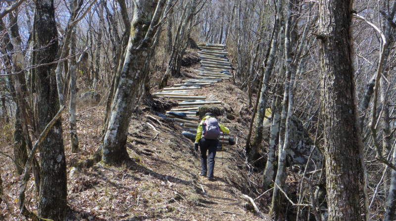 ���Ȃ�}��̓o��