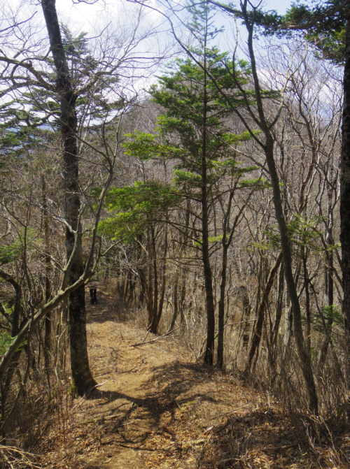 �o����}�Ȃ̂ŏc���̉��