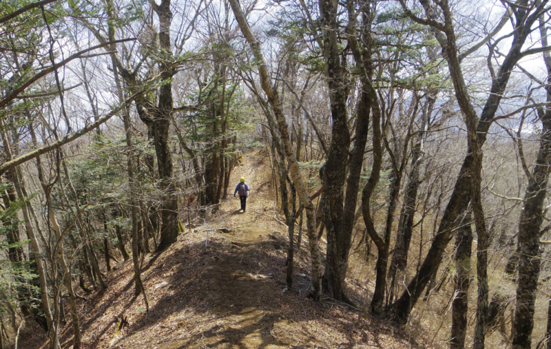 ��������i�݂܂�