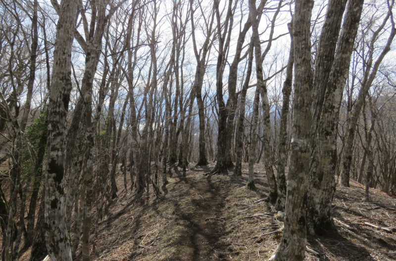 �u�i�т�i�݂܂�