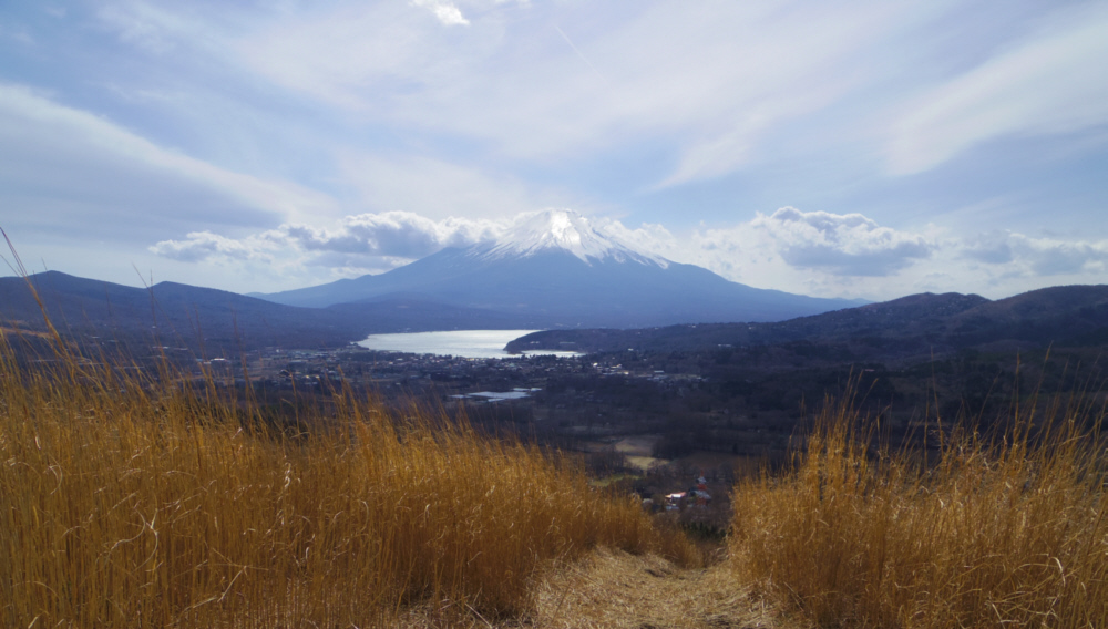 �x�m��������̕x�m�R