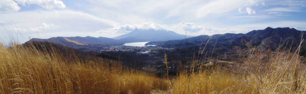 �x�m��������̕x�m�R