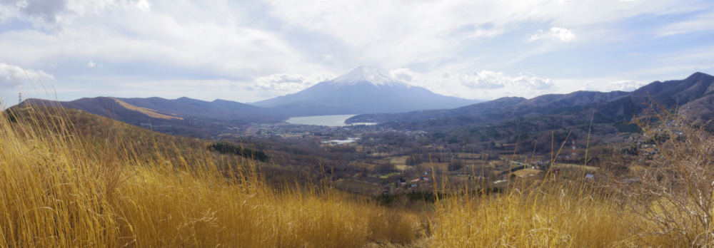 �x�m��������̕x�m�R