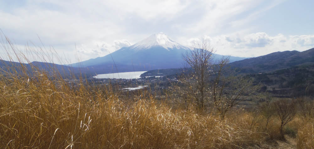 �x�m�����̂܂������ȋ}������Ȃ艺����������̕x�m�R