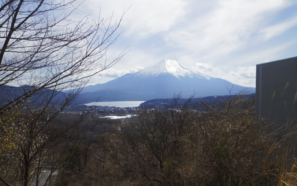 �ܑ����ɉ����Ƃ��납��̕x�m�R�B