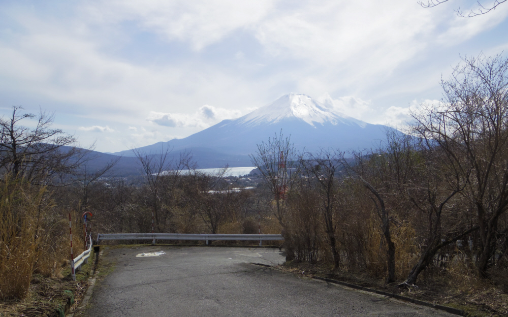 �ܑ�������̕x�m�R�B