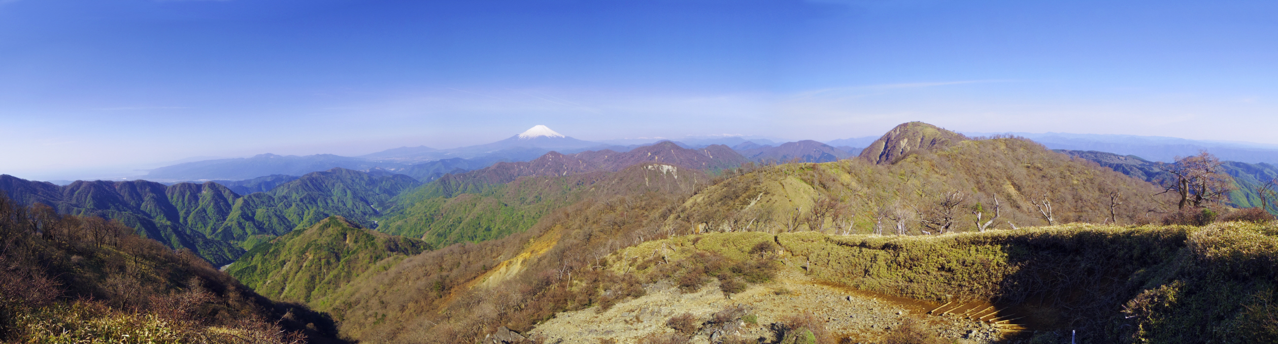 �s���m���W�]�n����̕x�m�R�������W�]