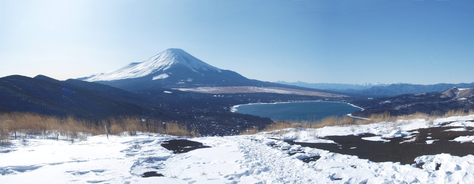 �S�C�؃m������̕x�m�R