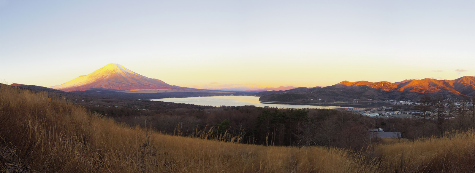 �R���΃p�m���}�䂩��̕x�m�R