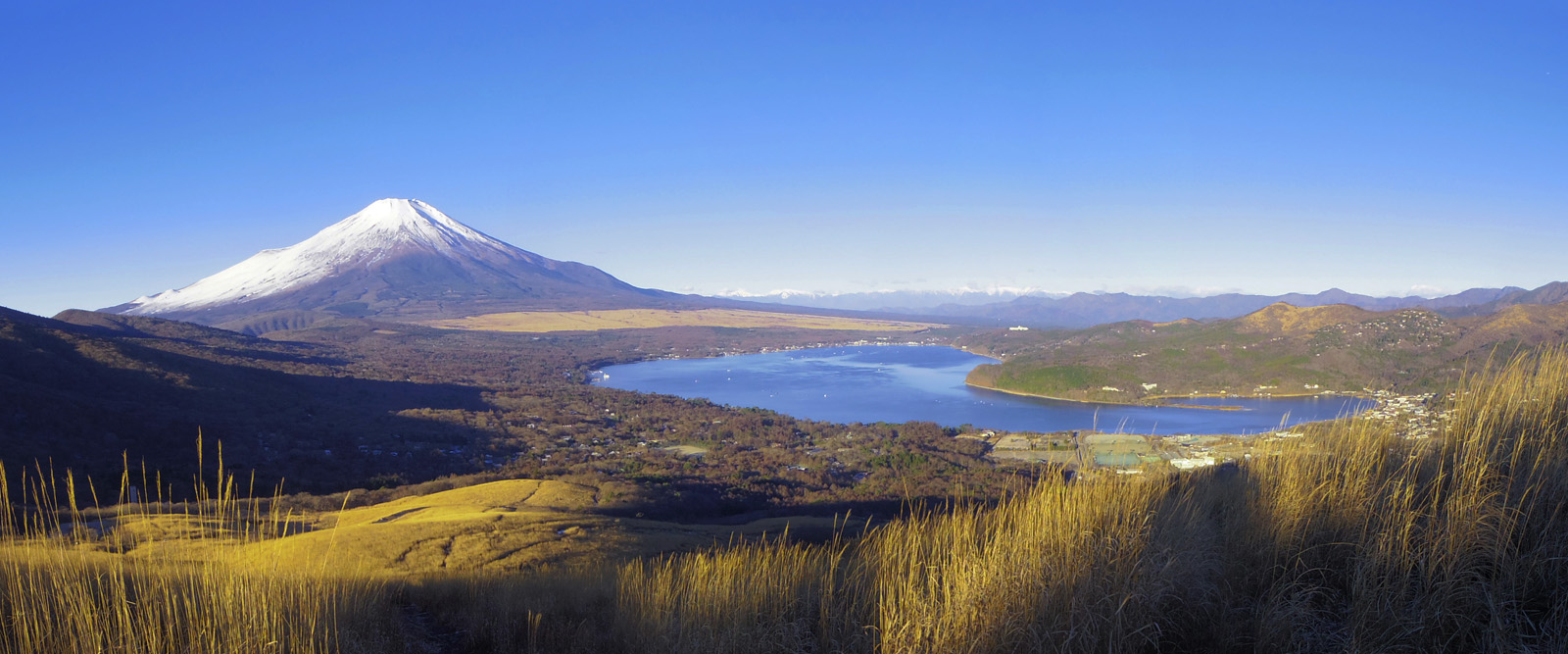 �p�m���}��`�S�C�؃m������̕x�m�R