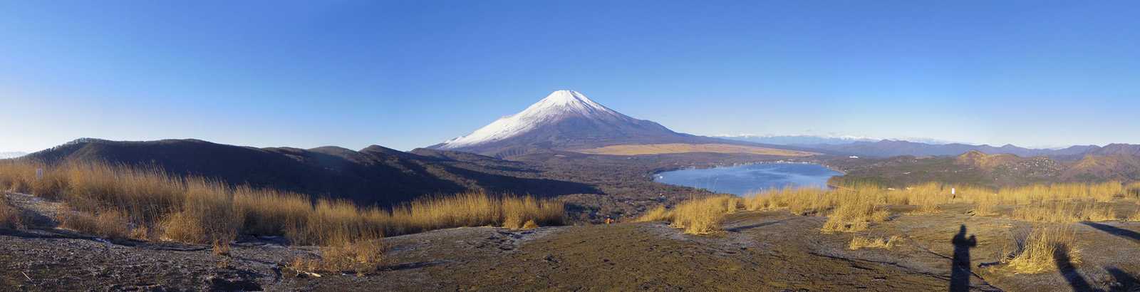 �S�C�؃m������̕x�m�R