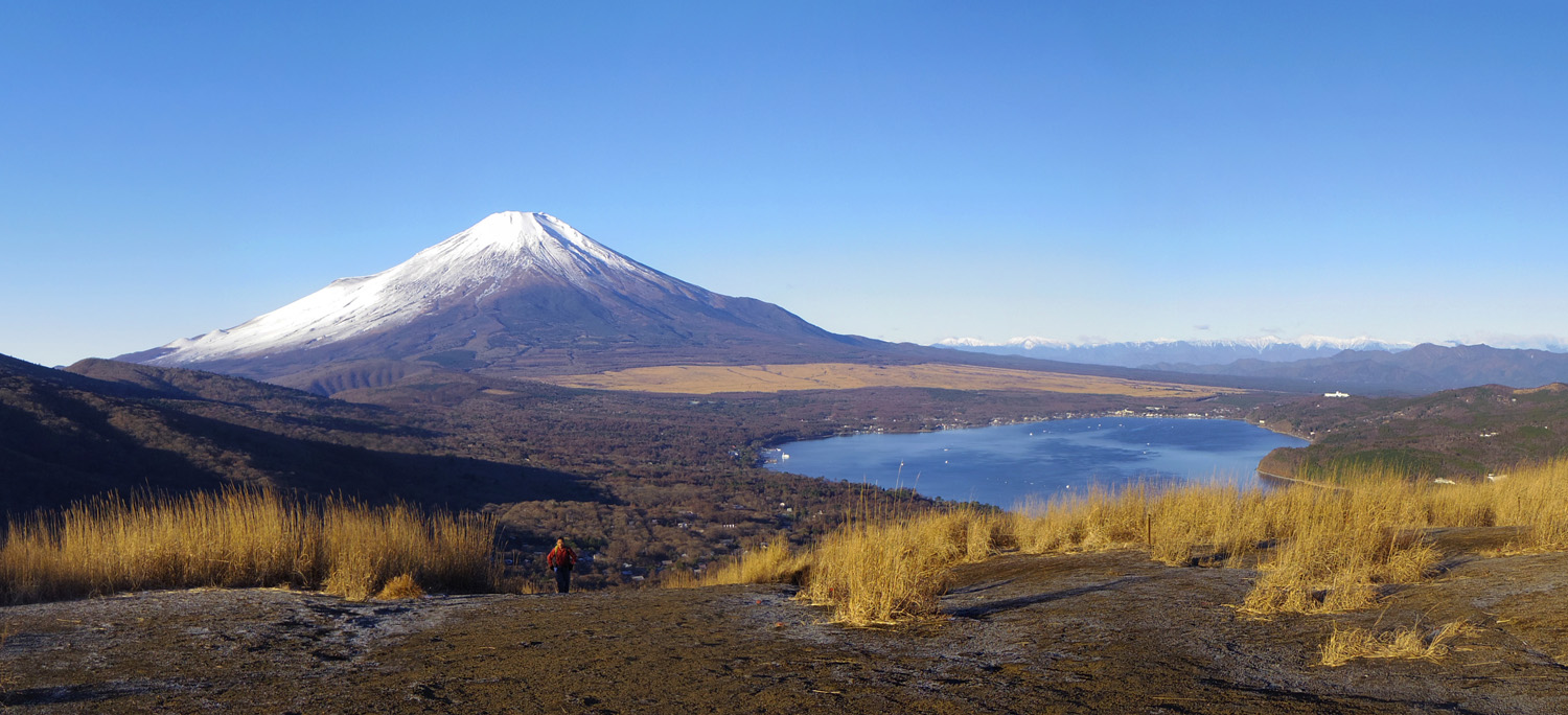 �S�C�؃m������̕x�m�R