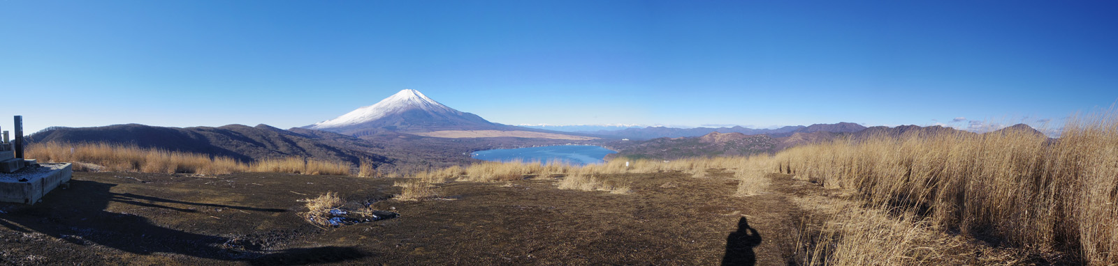 �S�C�؃m������̕x�m�R������p�m���}