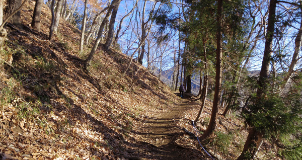 �����炵�����܂ł͂Ȃ��炩�ȍ⓹