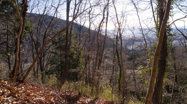 �E��̐`��s�X�A���͘p