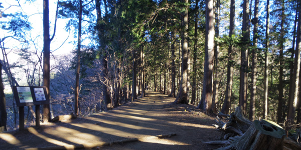 �����̐�����