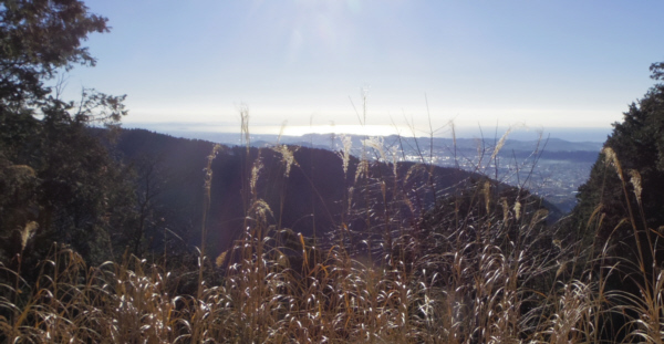 ���͘p�𒭂߂�