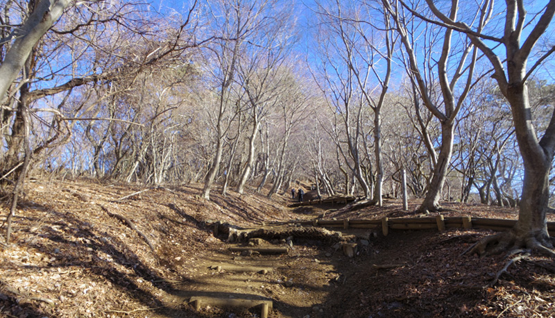 ����ɋ}��