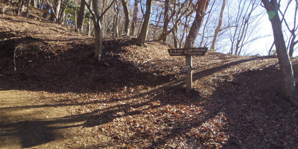 ���m�x�̎R������{��