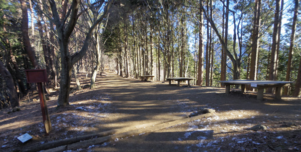 ��{���̂�����ɍL��