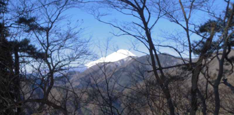 ���m�x�̎R�����A���؂̎}�̌��ɕx�m�R