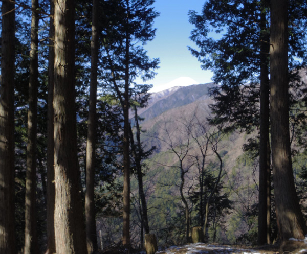 �x�R�̉Ƃ���x�m�R