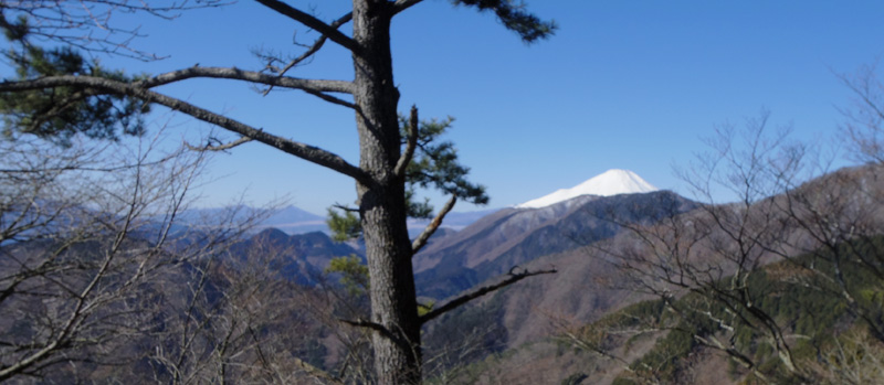 �W��1000m�t�߂ŕx�m�R�ƈ���R