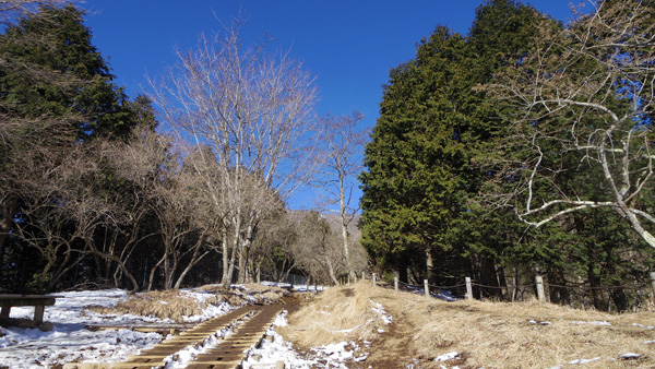 �ԗ��R���ւ̓�