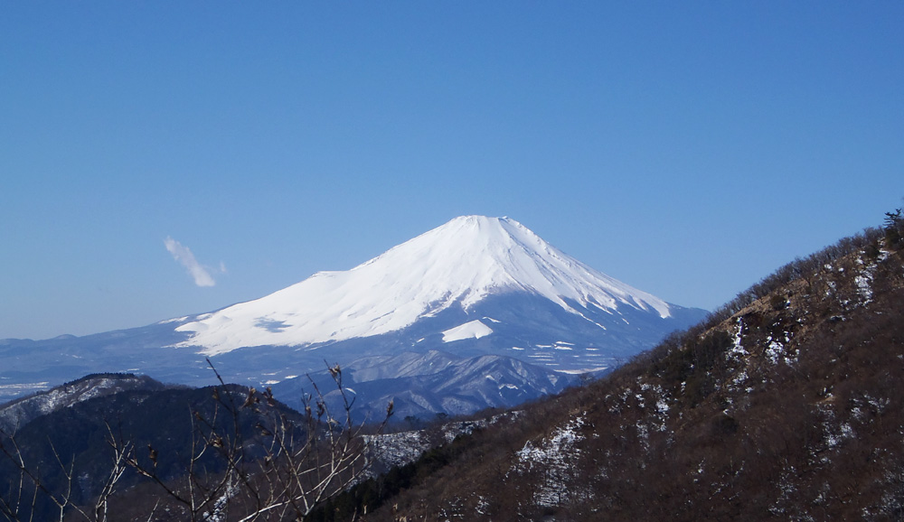 ���m�x�̓V��̊K�i������̕x�m�R