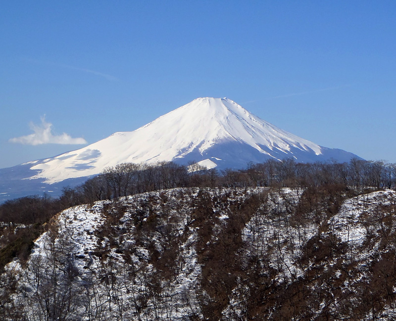 �ԗ��R�������o�肵��������̕x�m�R