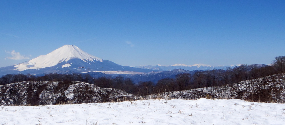 �ԗ��m������̕x�m�R�@�x�m�R�Ɠ�A���v�X