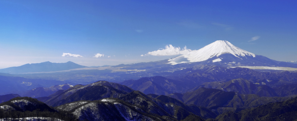 ���m�x�R������̕x�m�R�@�x�m�R�ƈ���R�B