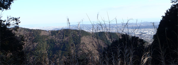 ���͘p�𒭂߂ċx�e