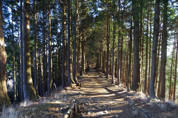 �����R������G����m���ɍs�����̕��ؓ�