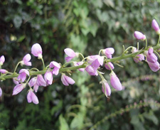 �t�W�J���]�E