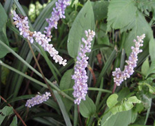 ���u����