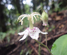 ���}�W�m�z�g�g�M�X