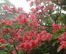 ���}�c�c�W