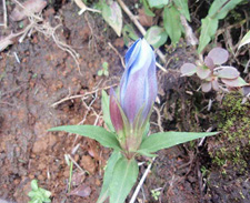 �����h�E