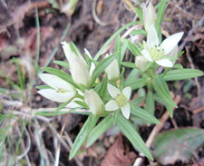 �Z���u��