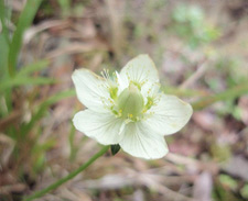 �E���o�`�\�E