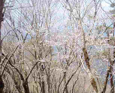 �}���T�N��