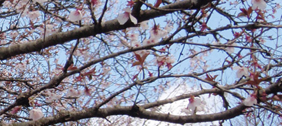 �}���T�N��