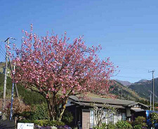 ���G�U�N���i��q�o�X��t�߁j