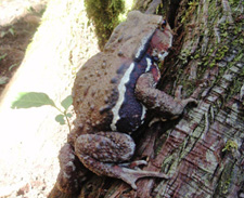 �K�}�K�G��