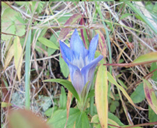 �����h�E