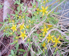 �q�������Q